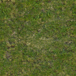 Turf 3 PNC
