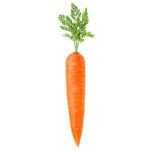 zanahorias