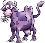 Purple Fluffy Kows