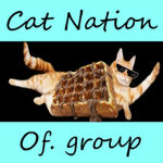 The Cat Nation!!!!!!!