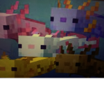 Axolotl Agency!