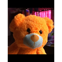 teddy’s home