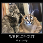 Society for the Preservation of Floppas