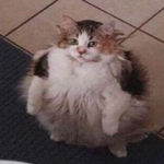 Depressed cutie