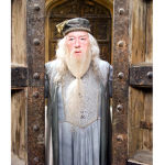 Dumbledoors army