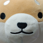 DoDo와 친구들