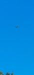 Southwest(usa)