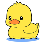 The DuckyPro2_3 Fan Club
