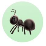 The Ant club.
