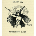 The Witch's