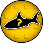 First Gold Fish