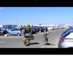 SHREK TOFU