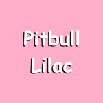 The Pitbull Lilac