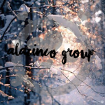 ALACINCO GROUP