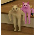 Roblox_250w