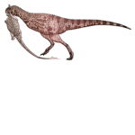 OFFICIAL dinosaur fan group