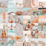 Evie’s chat