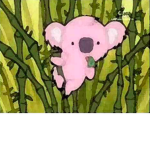 KOALA GANG <3