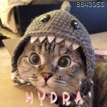 彡ʜʏᴅʀᴀ