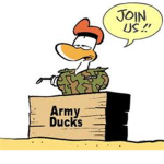 Army Ducks