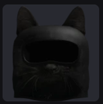 kittens乂