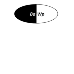 BaWp Fan Club