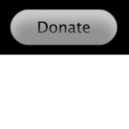 richguy donation place