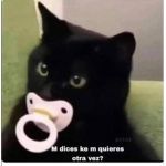 Nekit0 Clotings UwU