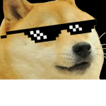 Doge! Squad!