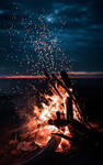 _Ashs~Flames_