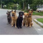 the ultra pack