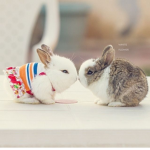 Charlie’s friend group!