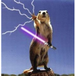the only real animal gang