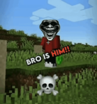 Noob's Rise