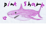 shark adventures