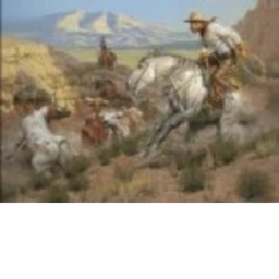 cowboy city