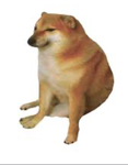 THE doges ¡
