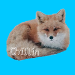 Chillin-