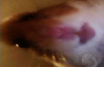 da hood but very bad