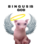Bingus World
