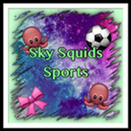 Sky Squids Sports's Cheerleading Gym