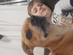 OSCfi