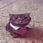 pωups