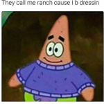 the meme store