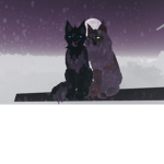 Fizz and Eira’s Film Forest