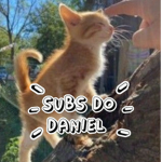 Subs do Daniel