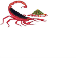 SCORPIA Robloxia Division