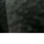 Neoprocat Incorporated