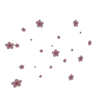 Cherry Blossom Aura