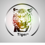Tiger Team Group